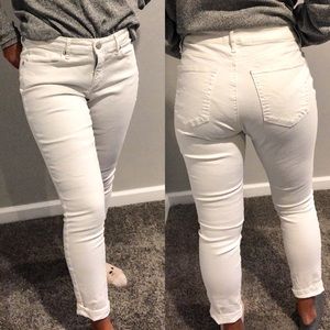Cropped Loft Curvy Jeans